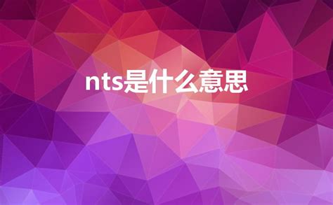 nts 意思